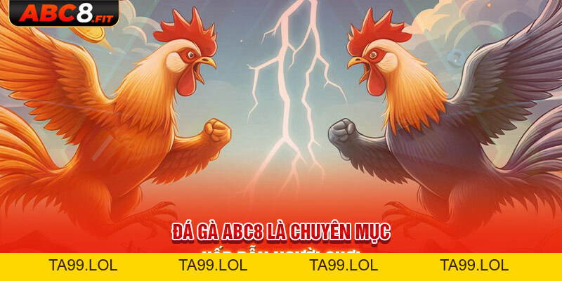 Đá Gà ABC8 - Thỏa Mãn Đam Mê Cá Cược Của Sư Kê