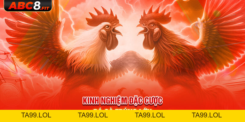 Đá Gà ABC8 - Thỏa Mãn Đam Mê Cá Cược Của Sư Kê