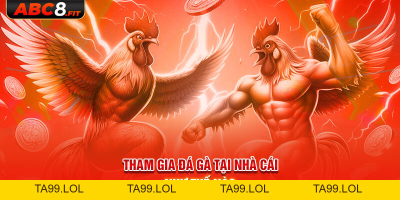 Đá Gà ABC8 - Thỏa Mãn Đam Mê Cá Cược Của Sư Kê