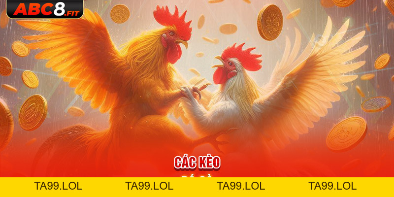 Đá Gà Cựa Dao - Thông Tin Quan Trọng Cần Nắm Rõ Khi Cá Cược