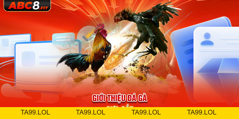 Đá Gà Cựa Sắt: Luật Chơi & 4 Bí Kíp Vào Tiền Chắc Thắng