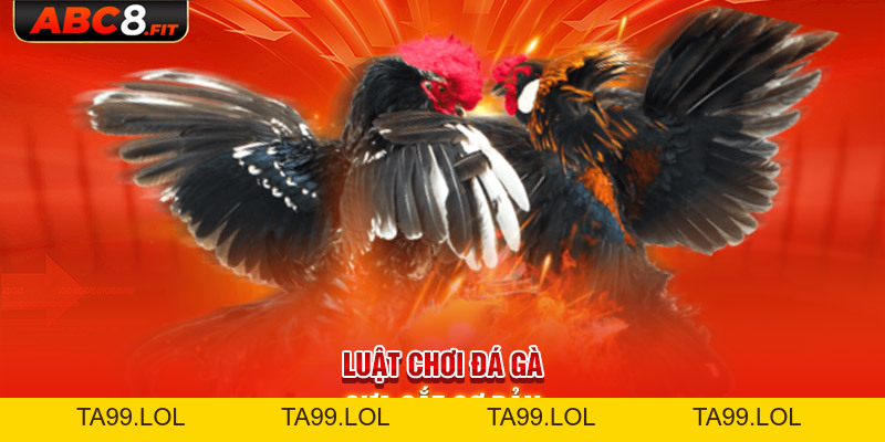 Đá Gà Cựa Sắt: Luật Chơi & 4 Bí Kíp Vào Tiền Chắc Thắng